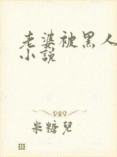 老婆被黑人操了小说