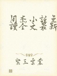 周杰小说免费阅读全文最新章节