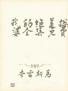 我的绝美总裁老婆全集免费