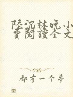 陆沉林晚小说免费阅读全文最新章节