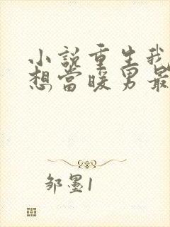 小说重生我真没想当暖男最新章节