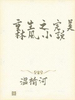 重生之完美时代 林风小说