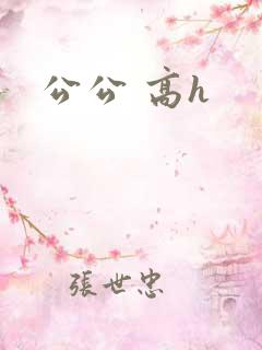 公公 高h