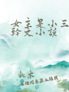女主是小三的高干文小说