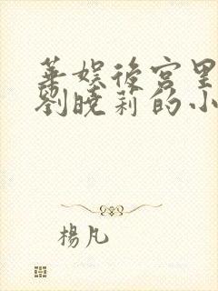 华娱后宫里面有刘晓莉的小说