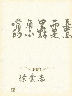 嘴角里面长白色的小点是怎么回事