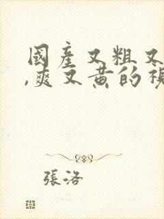 国产又粗又猛又,爽又黄的视频免费