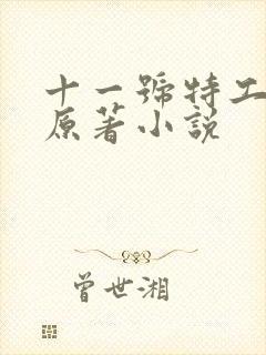 十一号特工皇妃原著小说