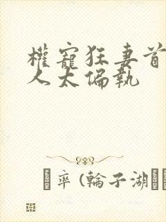 权宠狂妻首辅大人太偏执