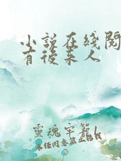 小说在线阅读还有后来人
