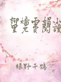 柳娇雨媚小说哪里免费阅读