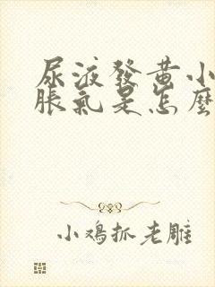 尿液发黄小肚子胀气是怎么回事