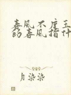 春风不度玉门关的春风指什么?