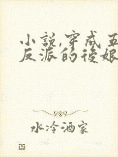 小说,穿成五个反派的后娘