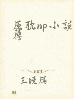 原耽np小说推荐