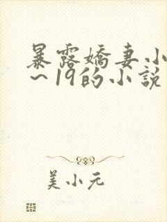 暴露娇妻小婷1～19的小说
