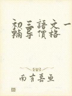 初三语文一对一辅导价格