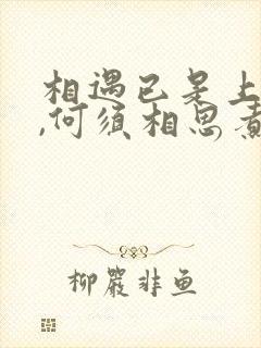 相遇已是上上签,何须相思煮余年是什么意思