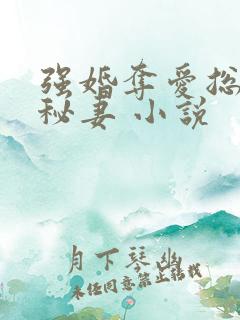 强婚夺爱总裁的秘妻 小说