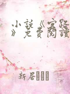 小说《官路风云》免费阅读