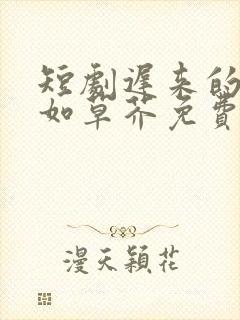 短剧迟来的深情如草芥免费观看