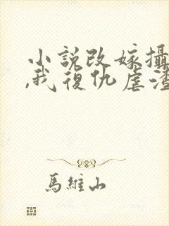 小说改嫁摄政王,我复仇虐渣妹