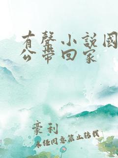 有声小说国民老公带回家