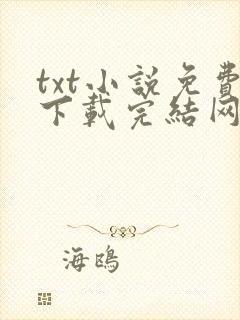 txt小说免费下载完结网站