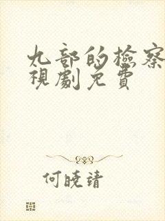 九部的检察官电视剧免费