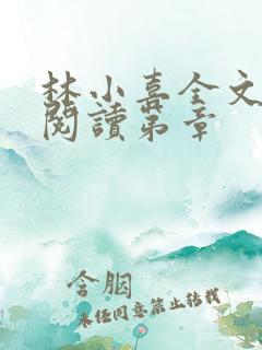 林小喜全文免费阅读第章