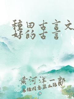 种田古言文笔超好的古言