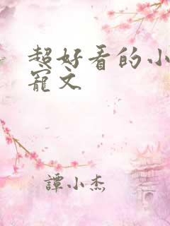 超好看的小说甜宠文