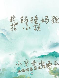 我的后妈貌美如花 小说