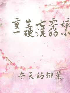 重生七零嫁给第一硬汉的小说免费阅读