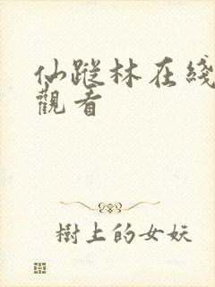 仙踪林在线免费观看