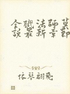 全职法师莫凡小说最新章节下载