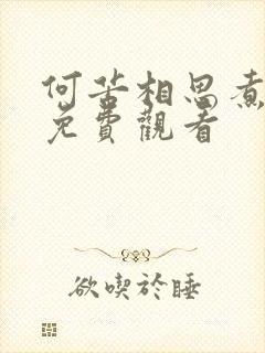 何苦相思煮余年免费观看