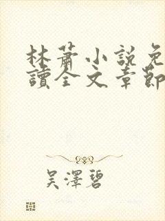 林萧小说免费阅读全文章节