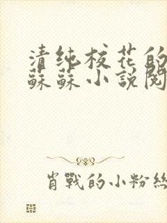 清纯校花的日常苏苏小说阅读全文