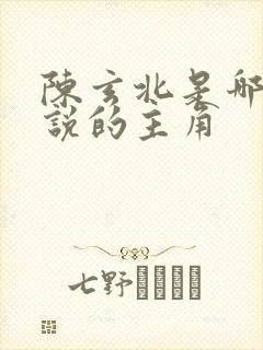 陈玄北是哪部小说的主角