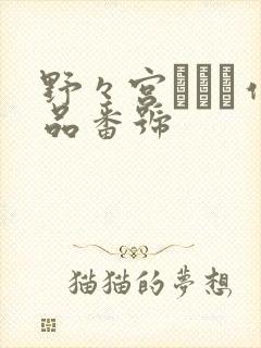 野々宫みさと作品番号