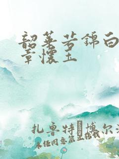 韶华若锦白敏敏章怀玉