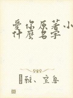 爱你原著小说叫什么名字