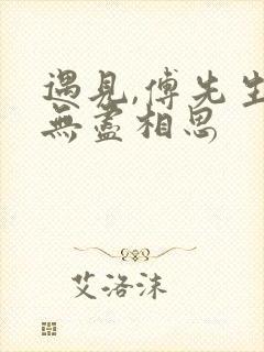 遇见,傅先生 无尽相思