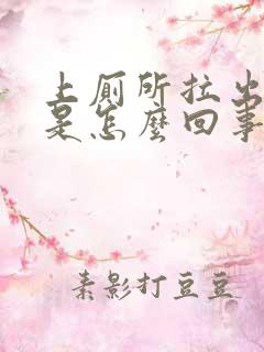 上厕所拉出血 是怎么回事