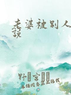 老婆被别人干小说