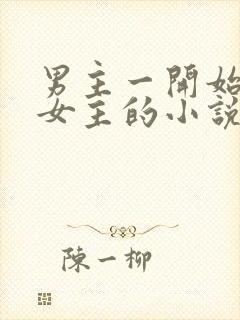 男主一开始厌恶女主的小说