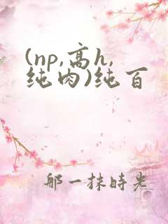 (np,高h,纯肉)纯百