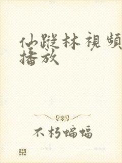 仙踪林视频在线播放