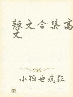 辣文合集高h辣文